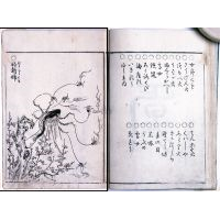 画図百鬼夜行 前編（陽）