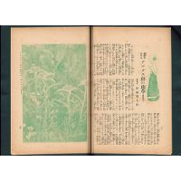 【愛護されたる】 アルプス山の珍草