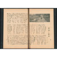 向島の秋色