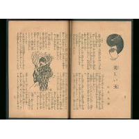 【少女小説】 美しい玉