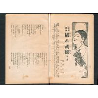 【大長編叙事詩】 破れ胡蝶