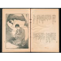 【大長編叙事詩】 破れ胡蝶