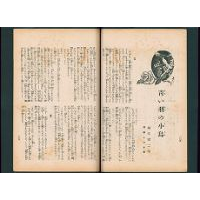【少女小説】 青い羽の小鳥