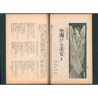 【大長編叙事詩】 空翔る美女