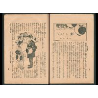 【冒険小説】 美しい玉