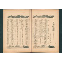 八月の文章