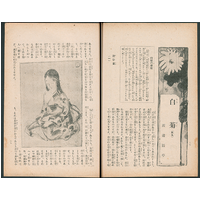 【歴史小説】 白菊（其九）