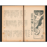 【長篇叙事詩】 空翔ける美女（第一篇） : 「破れ胡蝶」続編